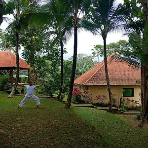 argasoka-bungalows.ubudhotelsnow.com/